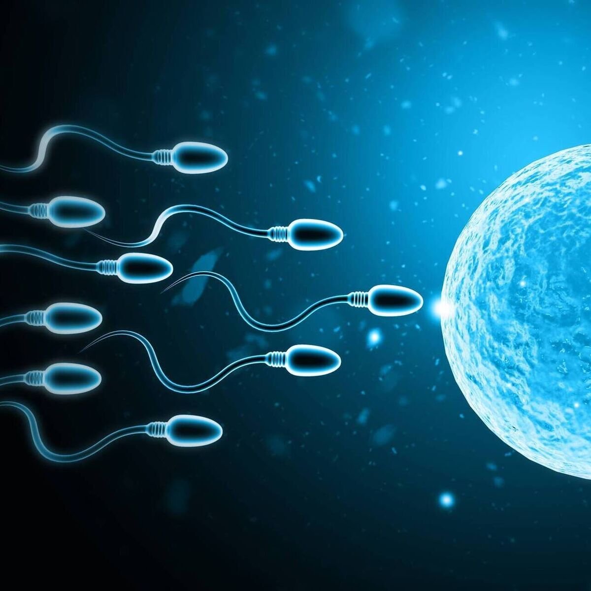 IVF Center in Aligarh